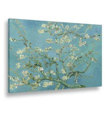 Ramo di mandorlo fiorito -