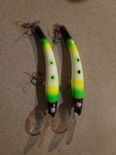 Esche pesca reef - esche, da