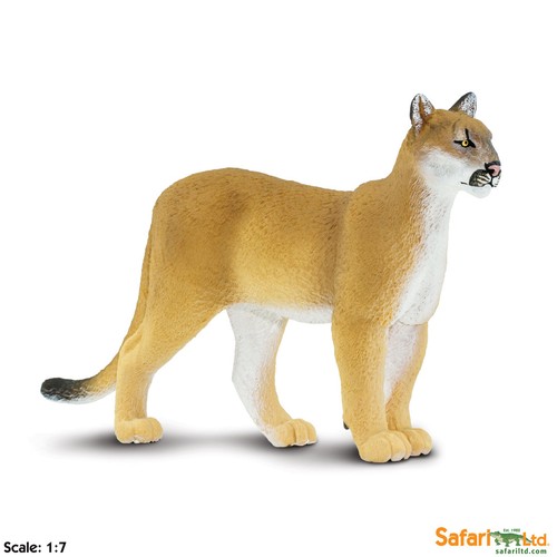 Safari ltd 100105 florida - safari,