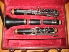 Buffet E11 Wood Bb: appena