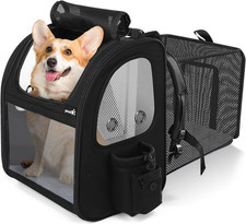 Zaino Porta Cani Grande Sia