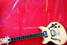 Chitarra semiacustica