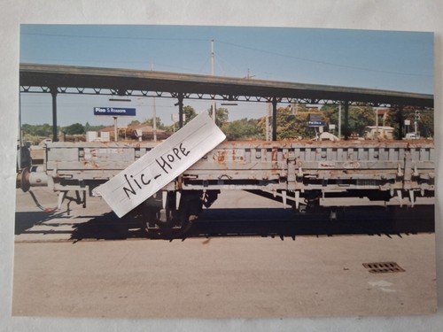 Fotografia stazione pisa - stazione,