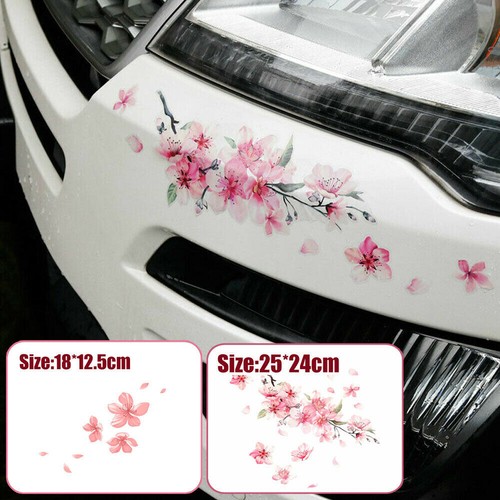 Adesivi auto rosa - 2x, ciliegia