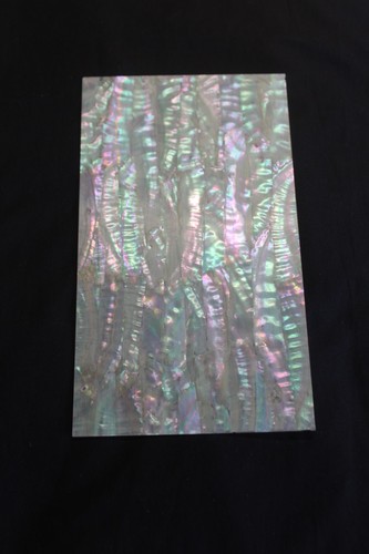 Awabi jap abalone - 'awabi', of
