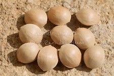 GINKO - GINKGO BILOBA, 10 SEMI