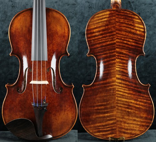 Favoloso maestro violino