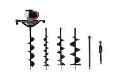 Trivella mototrivella - , a