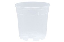 Vaso Pa Eco Container per