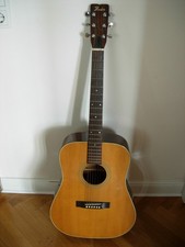 Chitarra western vintage