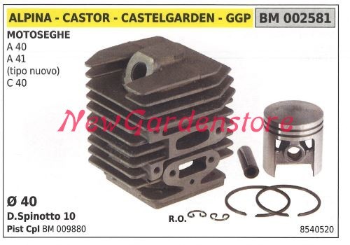 Cilindro pistone segmenti