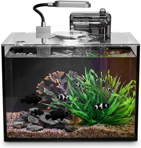 Kit acquario tavolo 2 - acquario, da