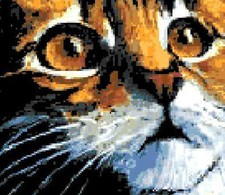 SCHEMA SCHEMI PUNTO CROCE RICAMO QUADRO SGUARDO GATTO!