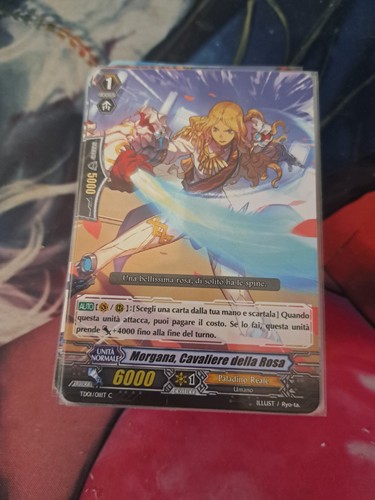 Lotto carte vanguard paladino - lotto,