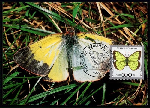 Brd 1991 farfalle - 1991,