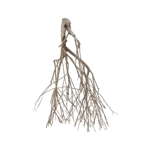 Radice acquario decorazione - radice,