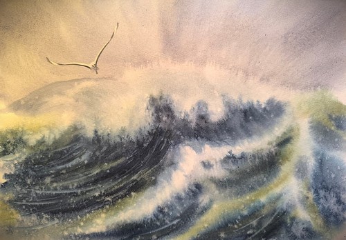 Birds seagull waves originale - birds,