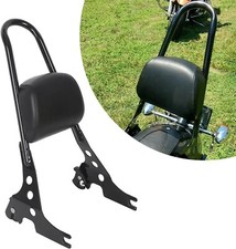 Detachable Sissy Bar Passenger