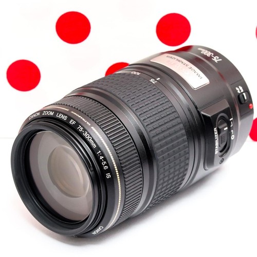 Canon 300 usm - canon, 75-300
