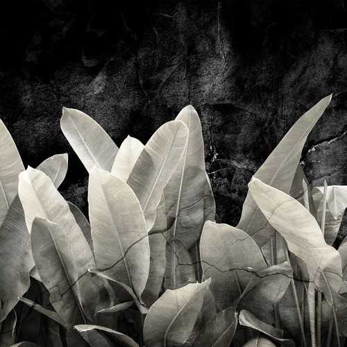Fotomurale moderno foglie nero