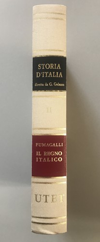 Volume utet storia - volume,