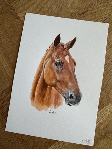 Illustrazione ritratto