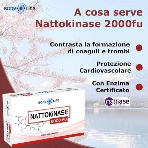 Nattokinase 2000fu integratore - nattokinase,