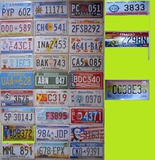 Lotto n°15 Targhe Americane a