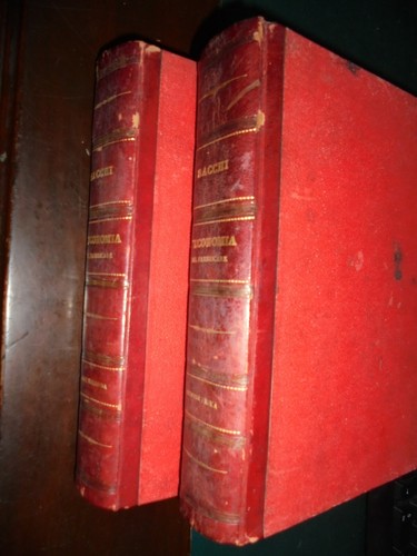 Sacchi l economia - sacchi, del