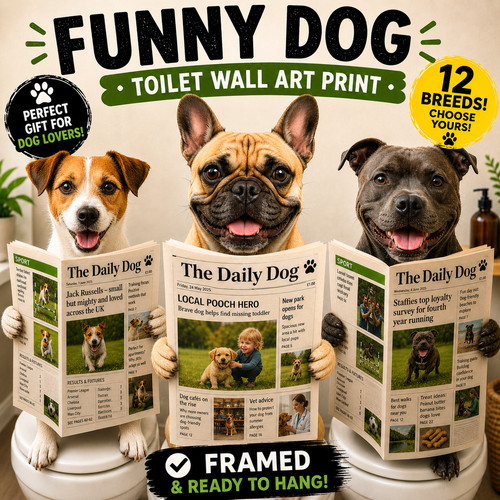 Divertente toilette per cani
