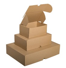 cartone-economico | Cartone