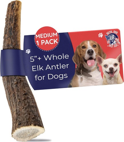 Corna alce cane - corna, di