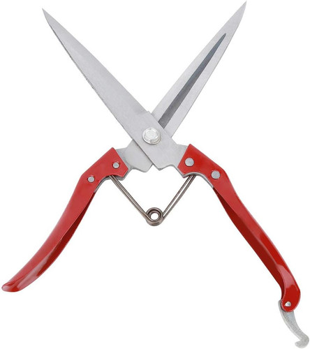 Tosatura manuale delle pecore - tosatura,