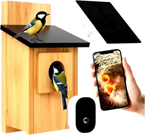 Solar bird box con telecamera - box,