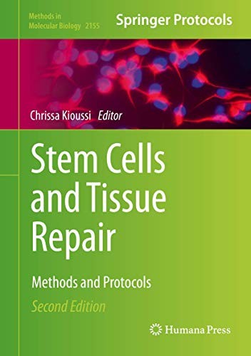 Stem cells and tissue - tissue, repair