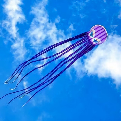 Enorme aquilone nylon con - in,