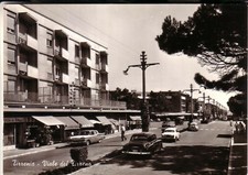 TIRRENIA  B/N NON   VIAGGIATA VIALE TIRRENO AUTO  VEDUTE 