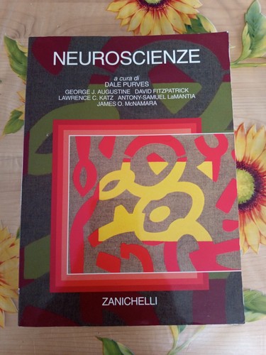 Neuroscienze augustine - -,