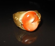 Conchiglia di Santa Lucia per