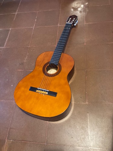 Eko acoustic classic - eko, cs-10