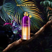 Montale Sensual Instinct 100ml