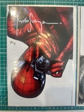 AMAZING SPIDER-MAN #1 MICO