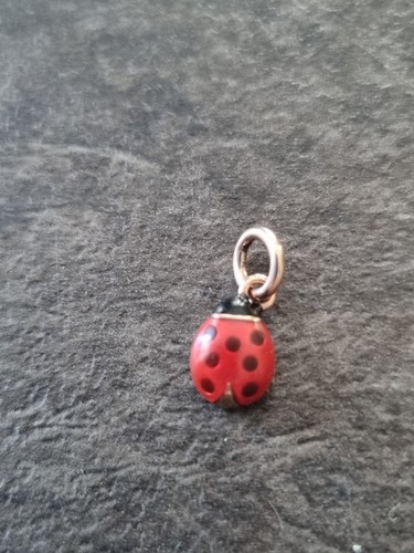 Coccinella oro rosa dodo - in,
