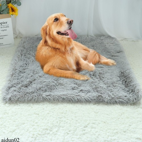 Peluche cane soffice - , tappetino