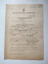 MILIZIA NAZIONALE FORESTALE