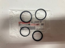 REVISIONE PINZA FRENO ANT