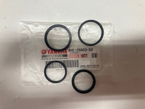 Revisione pinza freno ant - pinza,