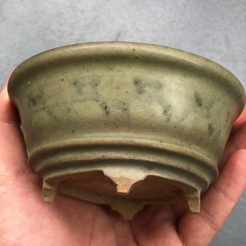 Vaso per bonsai - , giapponese