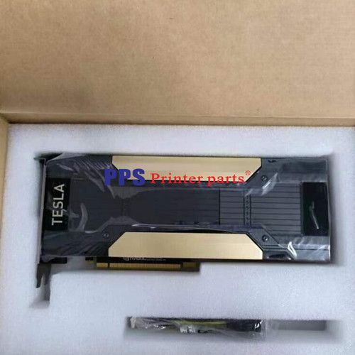Scheda grafica nvidia tesla - scheda,