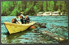 Logging Boat Vintage Single